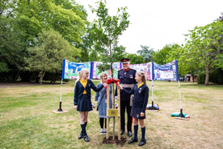 Coronation plaque Featured Image